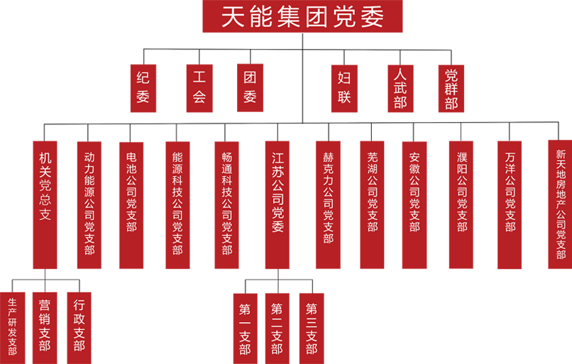 尊龙建团党委组织架构